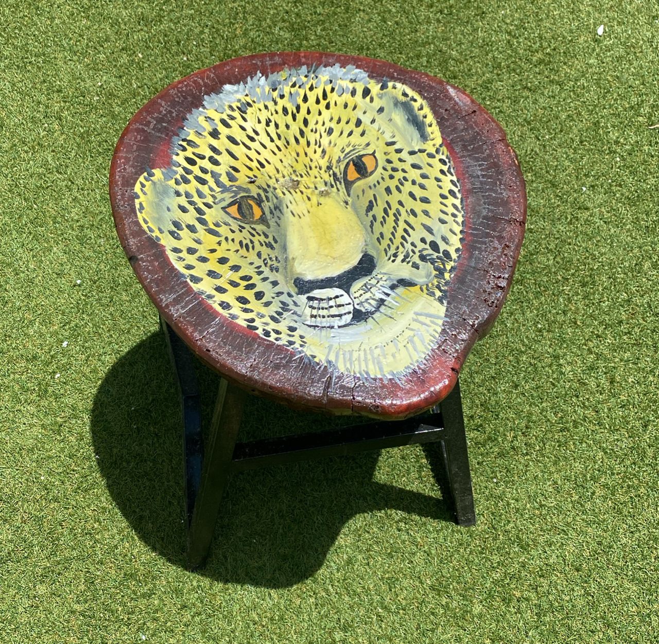 Leopard Glare Stool